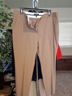 Theory Womens Chinos in Camel Tan